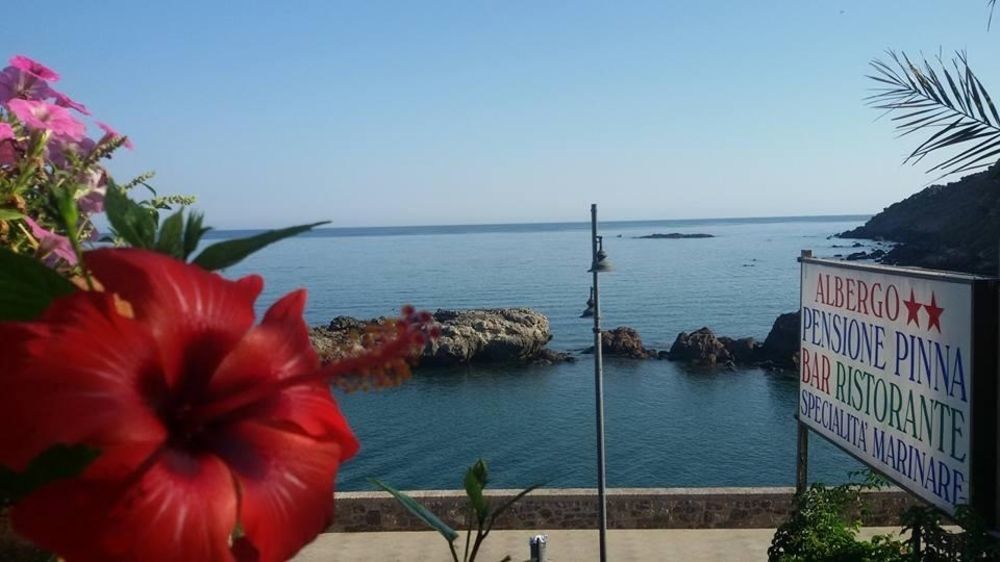 Gasthof Antica Pinna 2*